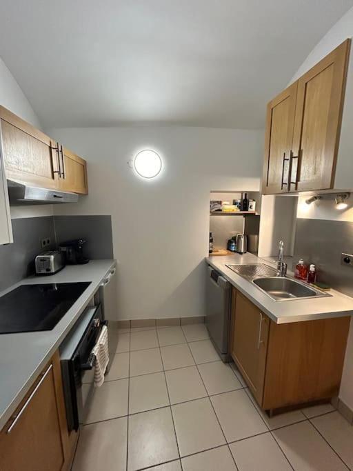 דירות Duplex Avec Terrasse En Hypercentre De גרנובל מראה חיצוני תמונה