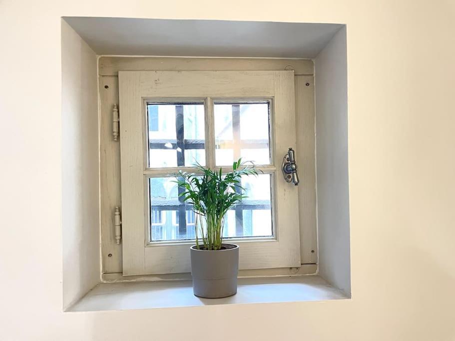 דירות Duplex Avec Terrasse En Hypercentre De גרנובל מראה חיצוני תמונה